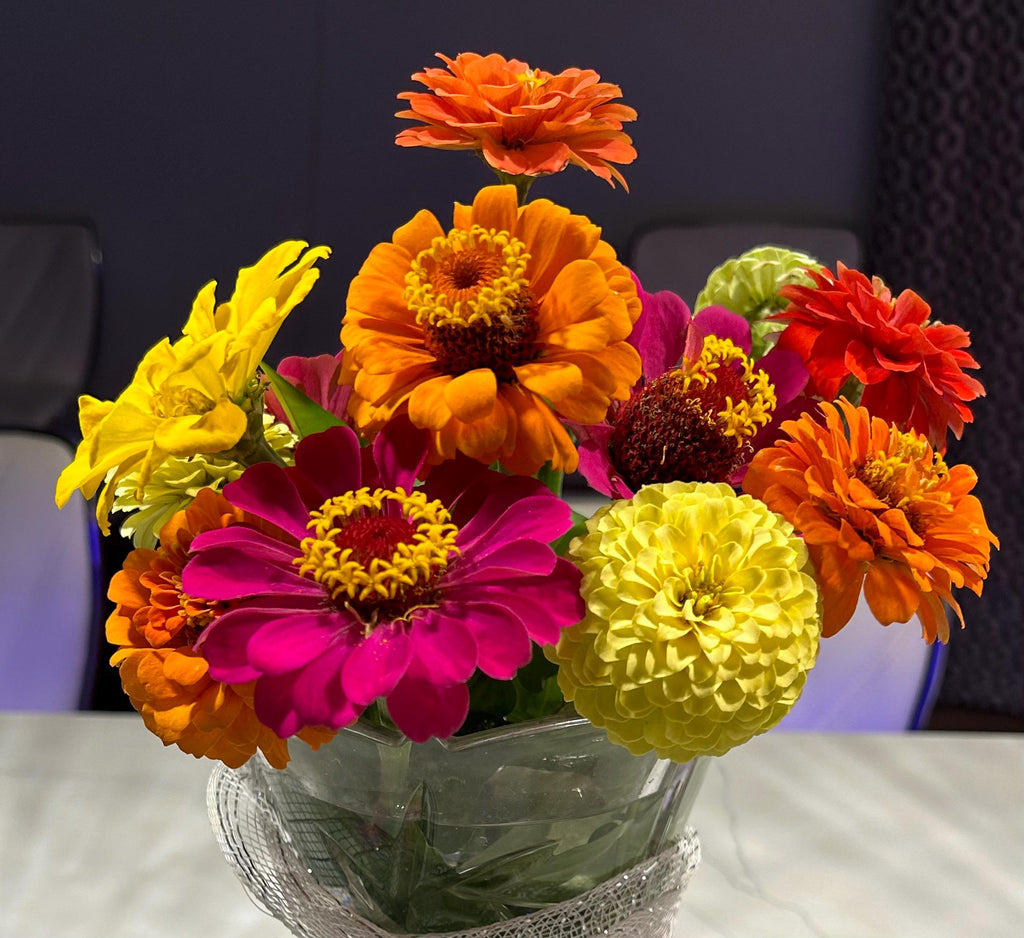 Zinnia flower seeds - Zinna