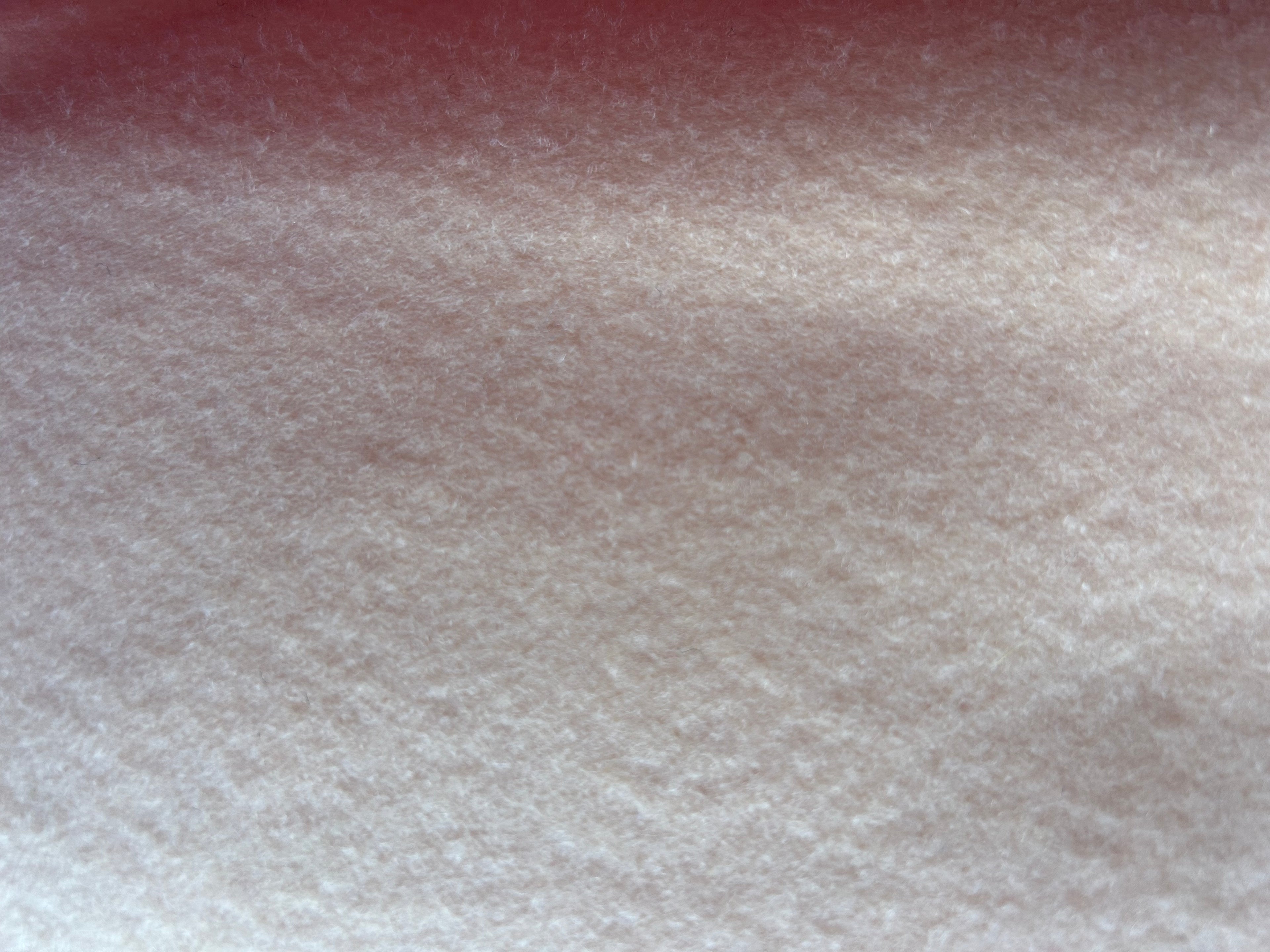 Felt Handbag Organizer Insert